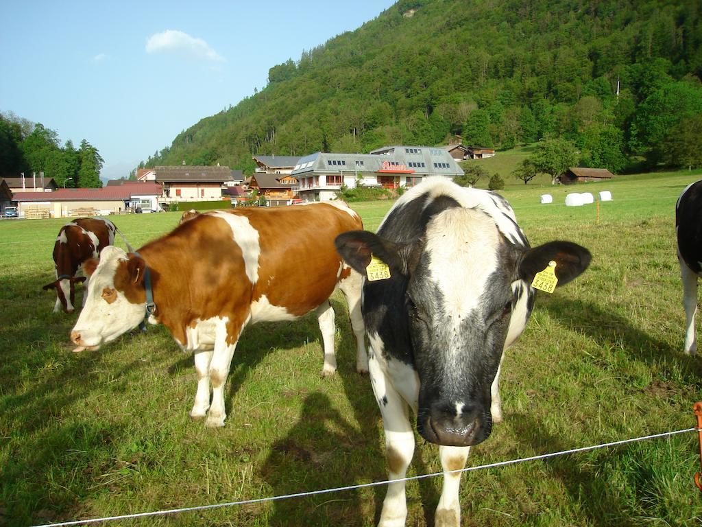 Hotel Milan B&B Ringgenberg Eksteriør bilde